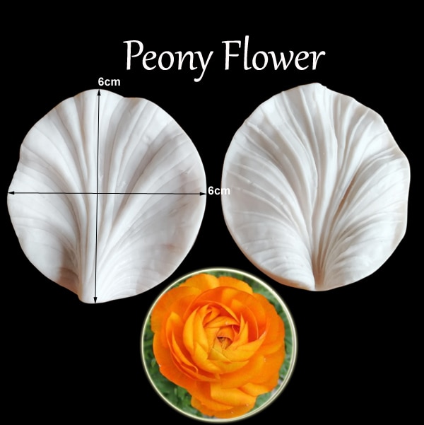 Peony Flower